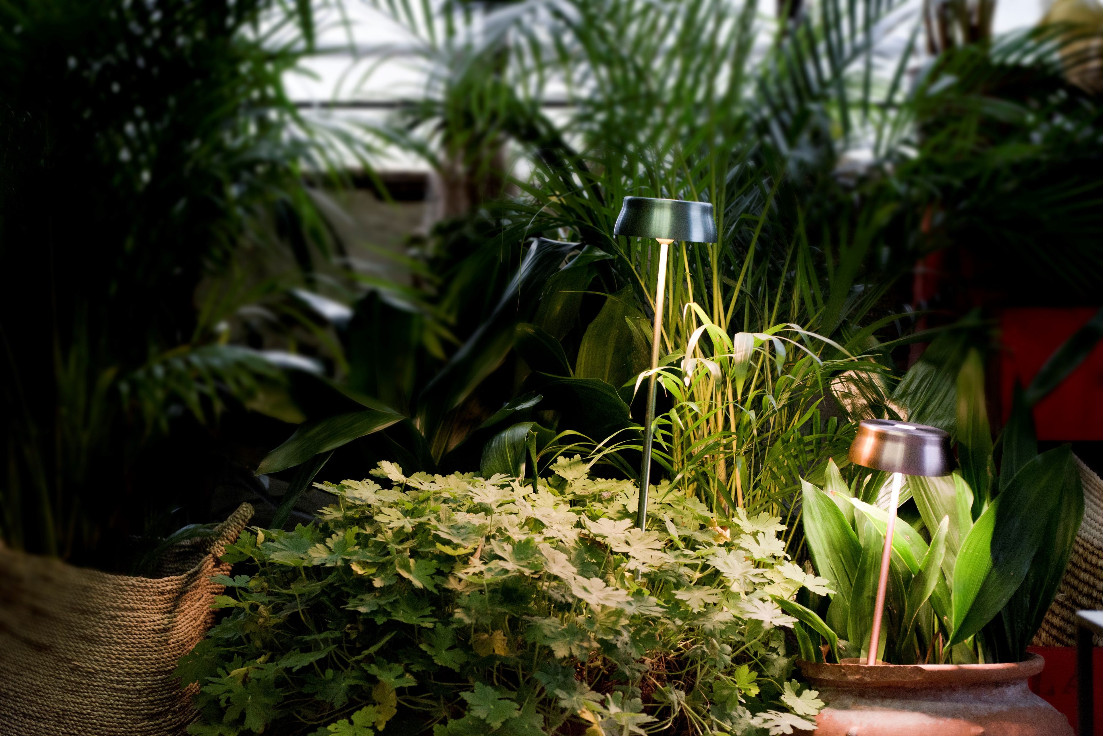 Перезаряжаемый торшер Zafferano Sister Light Wi-Fi ARCH-00066801 - Вид №6