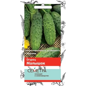 Семена Огурец «Малышок» 83147290 STLM-2128802
