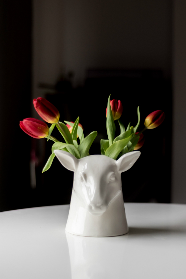 SK POTSTAG1 Органайзер для хранения Suck UK  - Вид №9