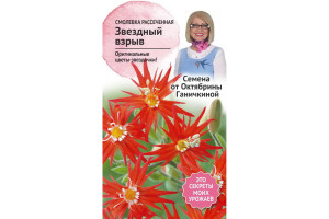 19490970 Семена Смолевка Звездный взрыв 0.02 г 119670 ОКТЯБРИНА ГАНИЧКИНА