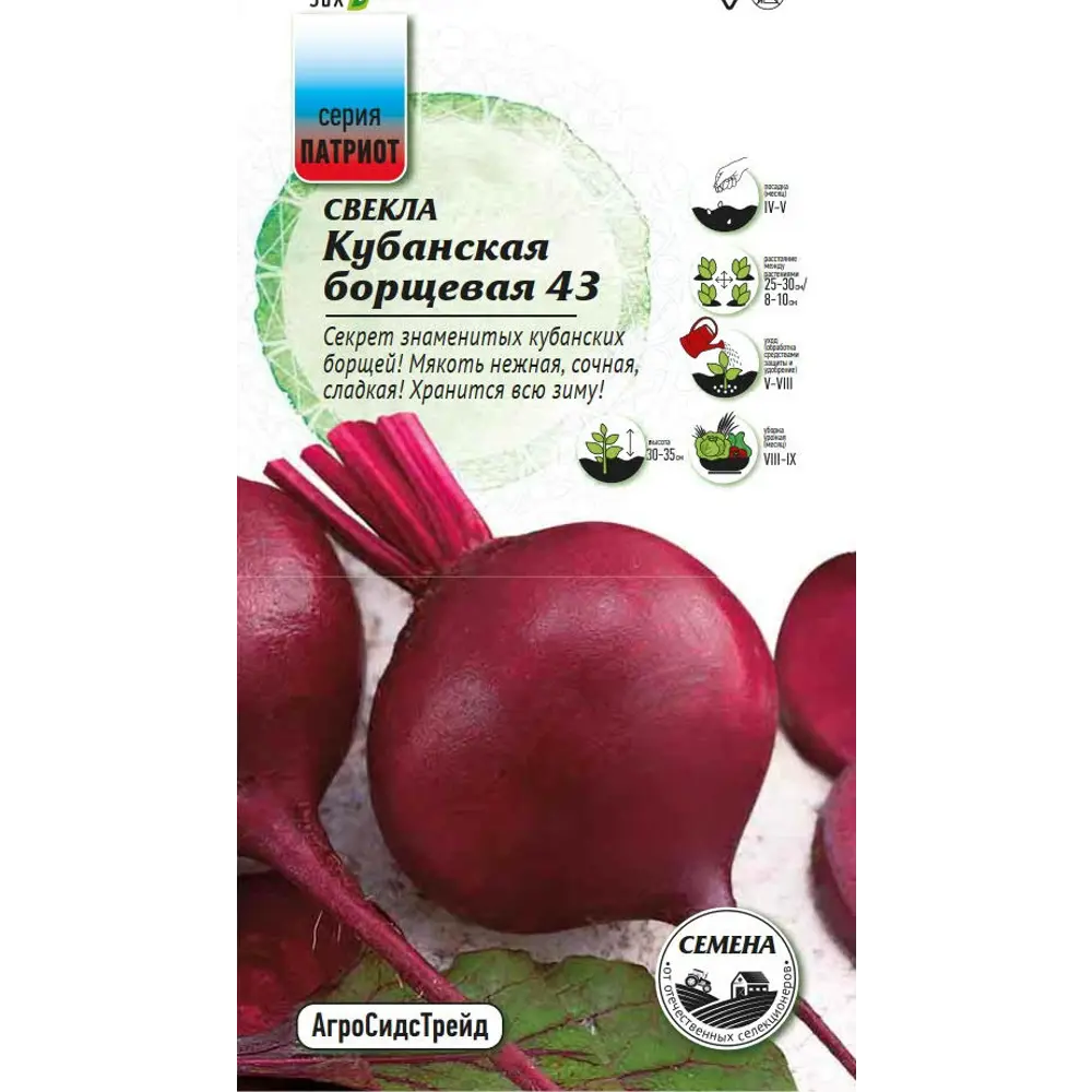 Семена свеклы Кубанская борщевая 43 89405169 Santreyd STLM-1581826