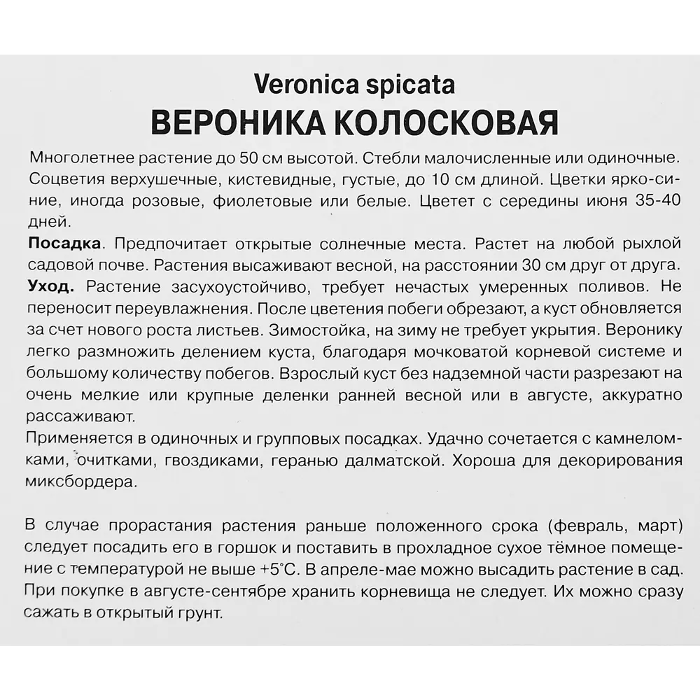 Вероника колосковая Ротфучс 89351858 STLM-2002329 ПОИСК  - Вид №2