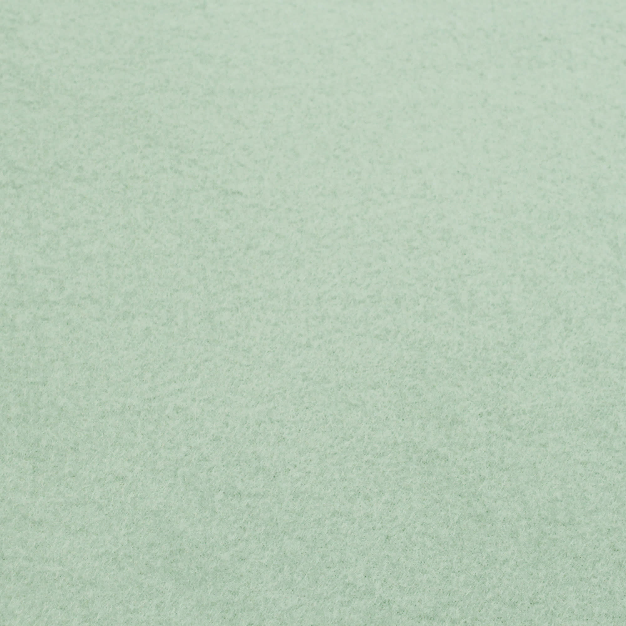 84330526 Плед 120x150 см флис цвет зелёный Toronto Santreyd - Вид №1