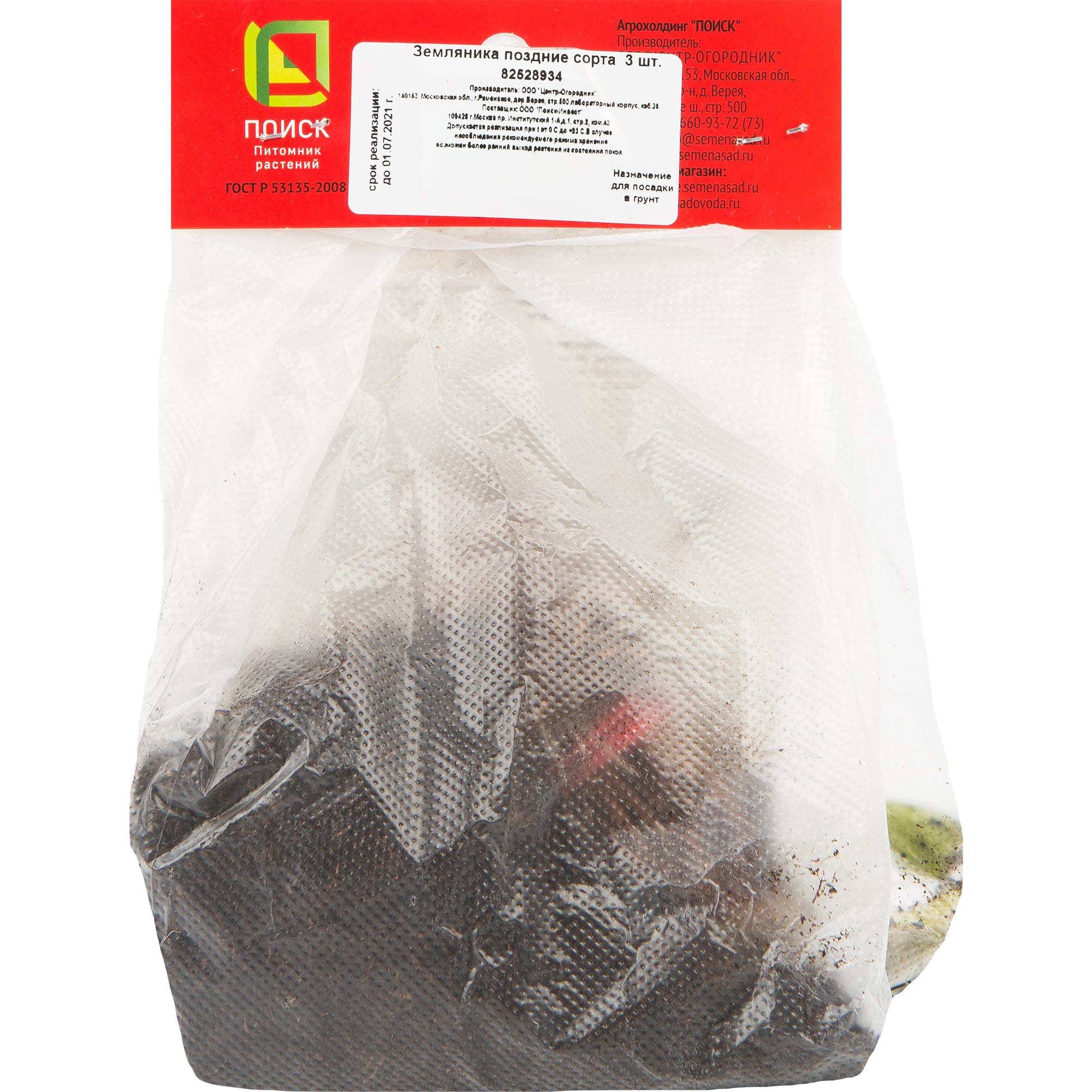 82528934 Земляника традиционная поздняя 3 шт Santreyd  - Вид №2