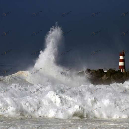 WP02360 Фотообои Verol Фотообои decoline 1х1 м