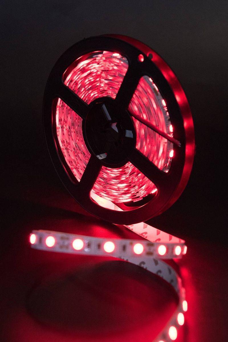 002336 Светодиодная лента 14,4W/m 60LED/m 5050SMD красный 5M SWG ECO-SWG560