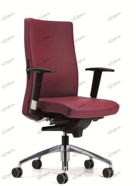 Ares Line Кожаное кресло для руководителя со средней спинкой Trendy family sun-id-1369797