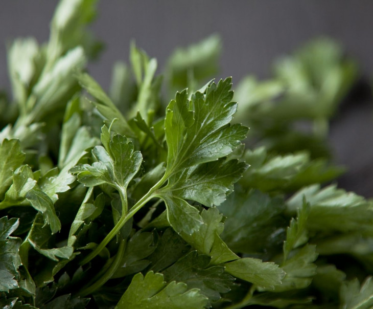 8492 Петрушка 100г Вкусляндия  - Вид №1