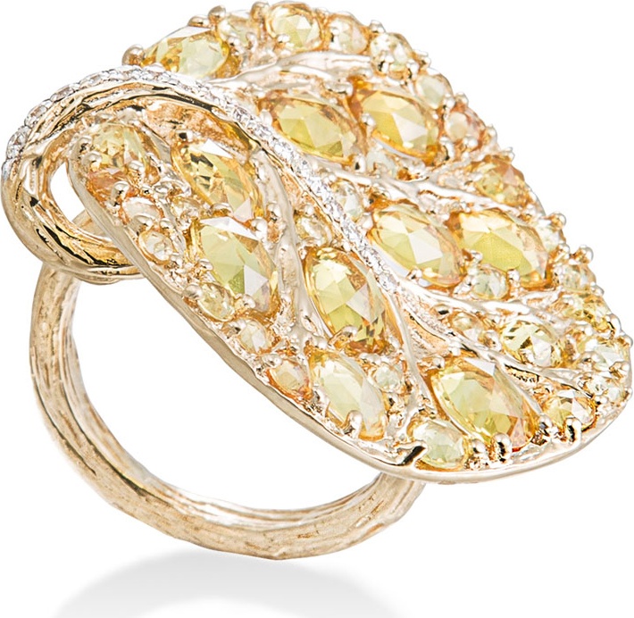 10599841 Кольцо для cалфетки Композитное Michael Aram 