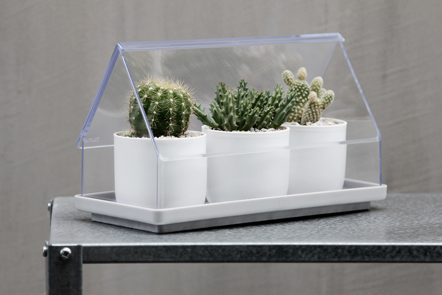 Лоток для выращивания растений Micro Green House прозрачный Qualy QL10310CLGN - Вид №4