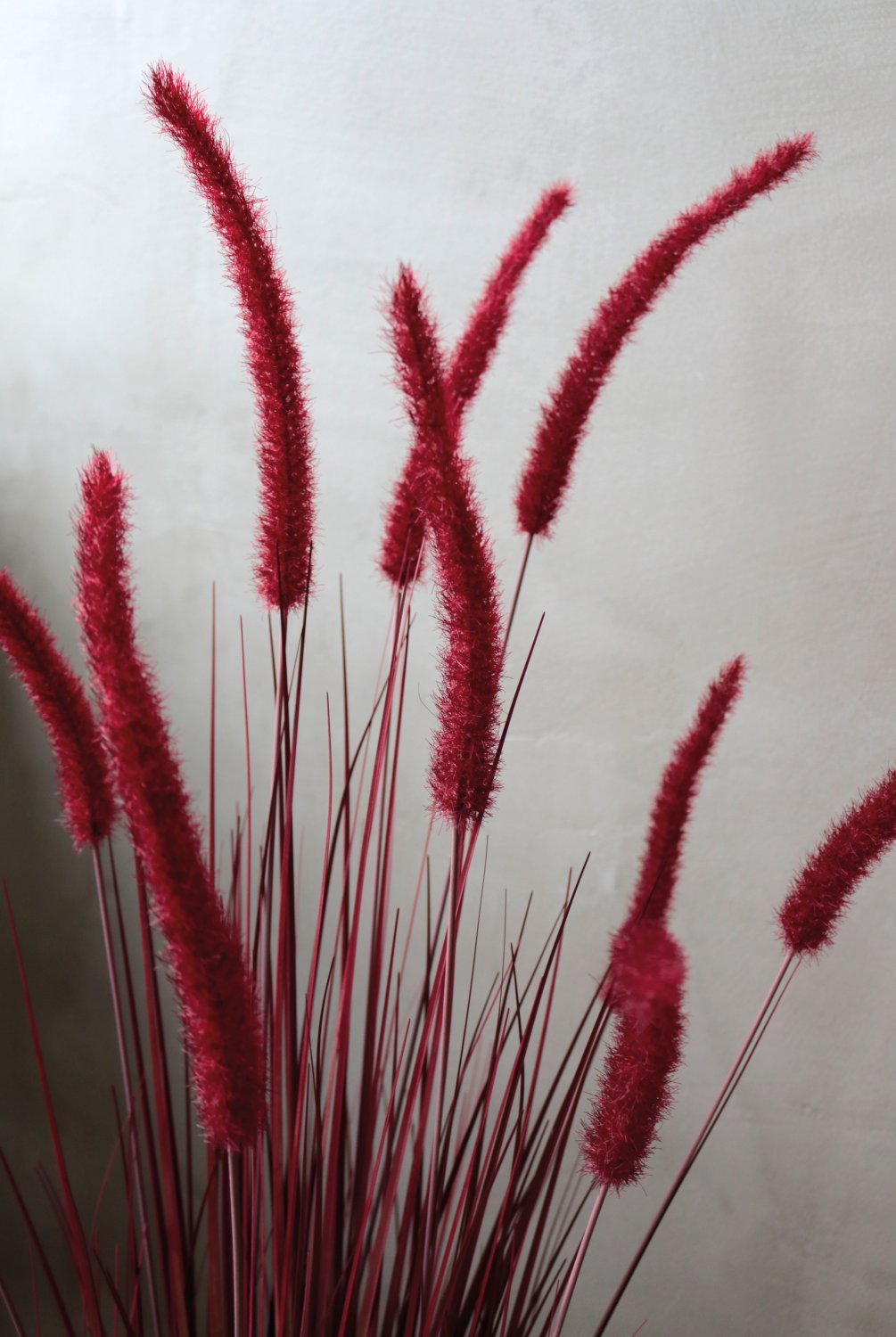 4869 498 a3 Искусственный пучок травы 'Chinese fountain grass' в горшке, 120 см, бордово-зеленый H-andreas  - Вид №10