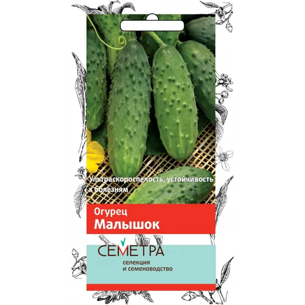 Семена Огурец «Малышок» 83147290 STLM-2128802 ПОИСК 