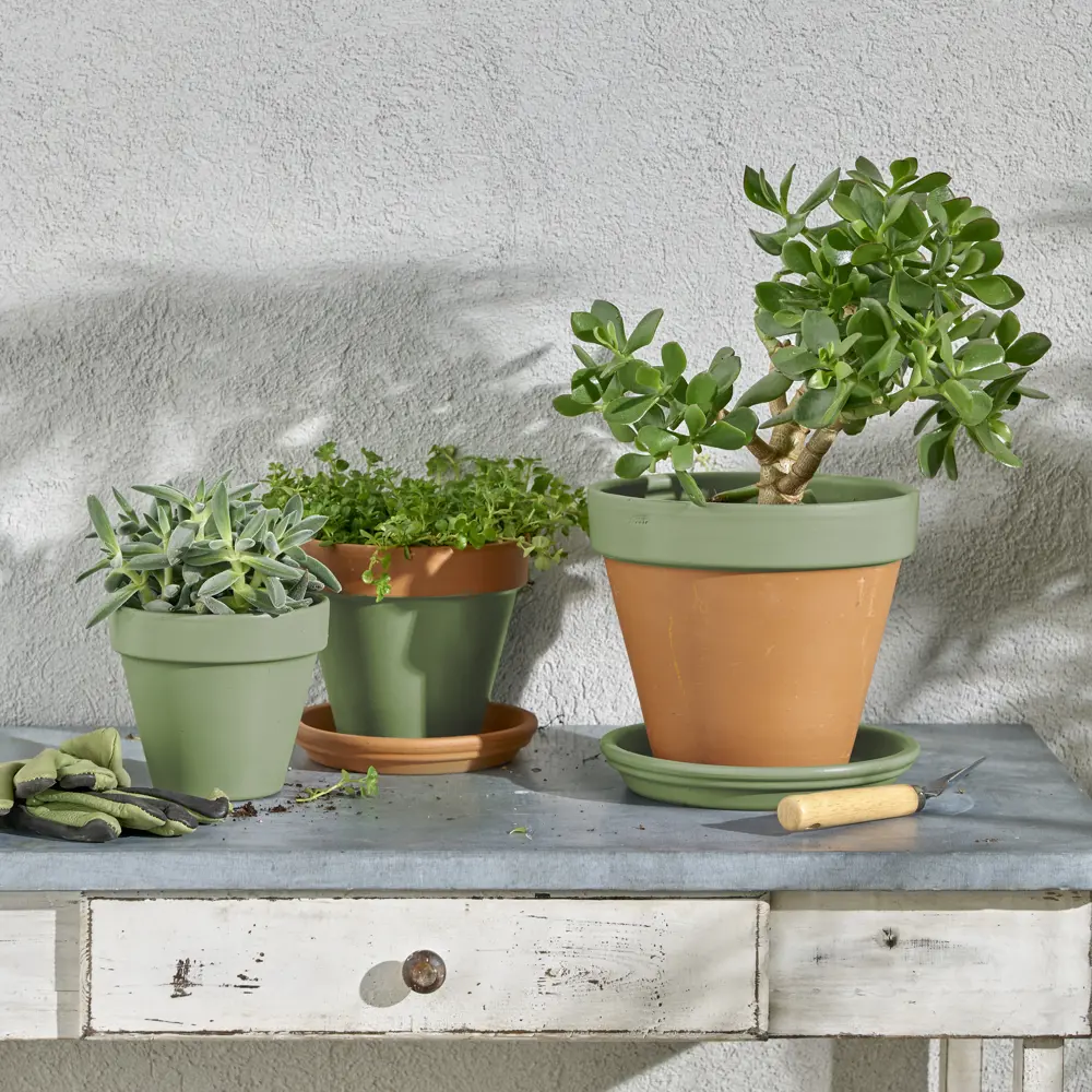 Аэрозольная эмаль Luxens для интерьера и экстерьера - бледно-зелёный сатин 83237356 STLM-0039714 - Вид №5