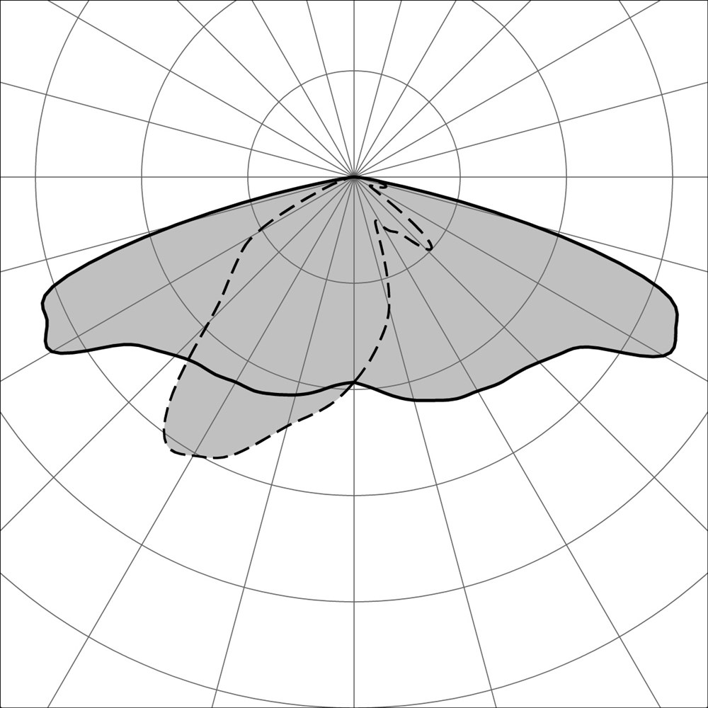 Maestro Spot Ghidini Maestro .19 Cветло - Серый - Вид №3