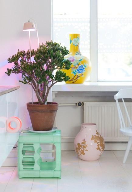 Linea Light Group Подвесной светильник / настольная лампа Chlorophyll sun-id-1445967 - Вид №4