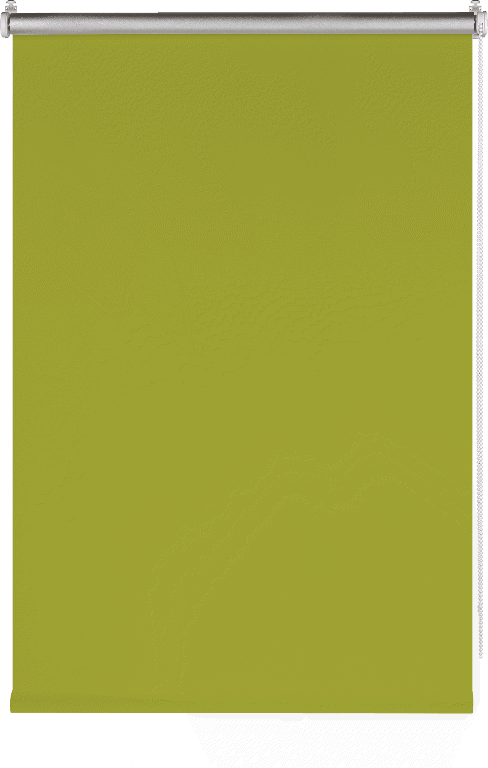 91080888 Рулонная штора 70x160 см, цвет зеленый Blackout Silver STLM-0473909 PRAKTO