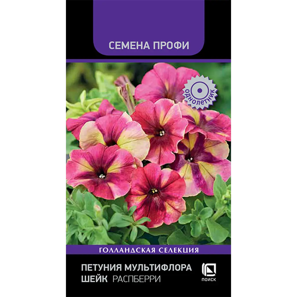 Петуния мультифлора Распберри Шейк от ПОИСК - взрыв малиновых красок 89402698 STLM-1570647