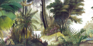 Обои с пейзажами