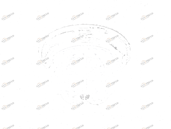 Siru Потолочный светильник из муранского стекла  Mc 378-010 