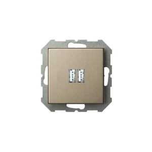 91523466 Разъем USB двойная встраиваемая Liregus Epsilon IUK-2-01 E/Ch цвет шампань STLM-1390775