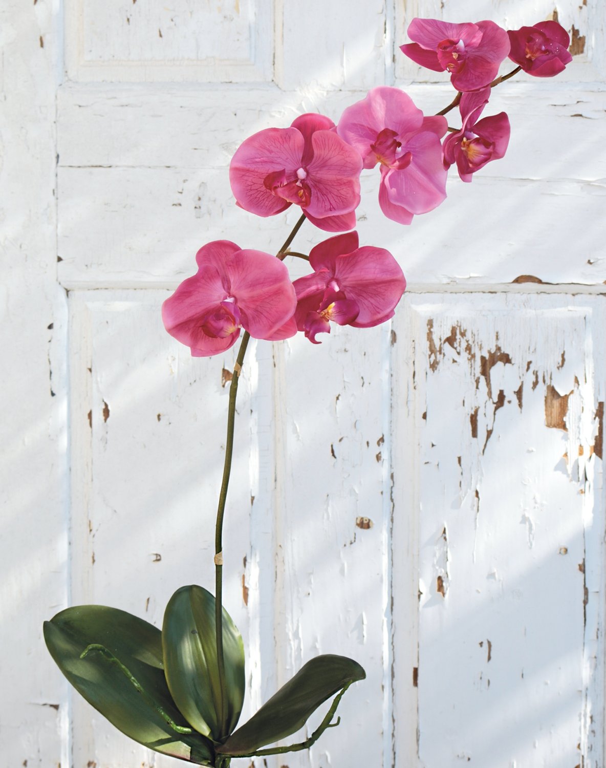 2526 420 a2 Искусственная орхидея Phalaenopsis, 73 см, real touch, вишня H-andreas 