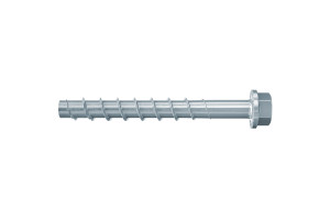 15844358 Шуруп по бетону FBS II 10X60 5 US 50 штук 536858 Fischer