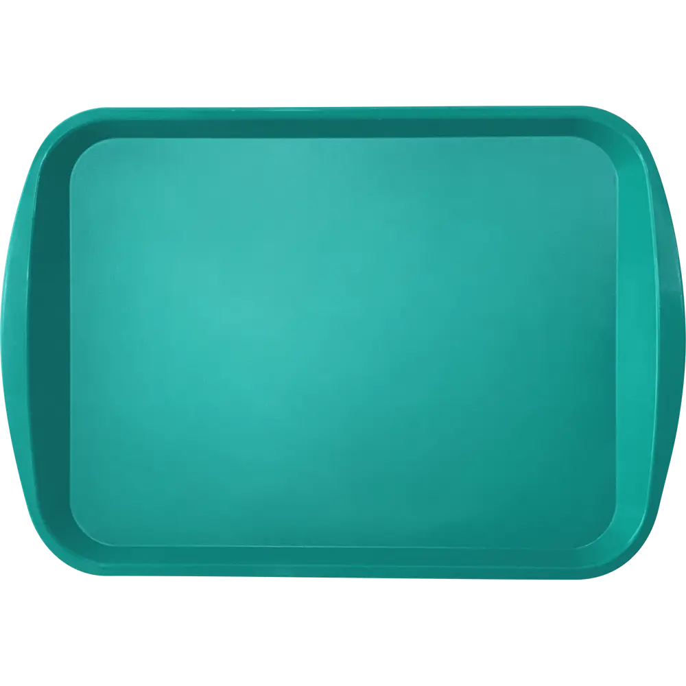 Поднос прямоугольный Delinia 36.5x25.5 см полипропилен цвет изумрудный STLM-2086439 - Вид №2