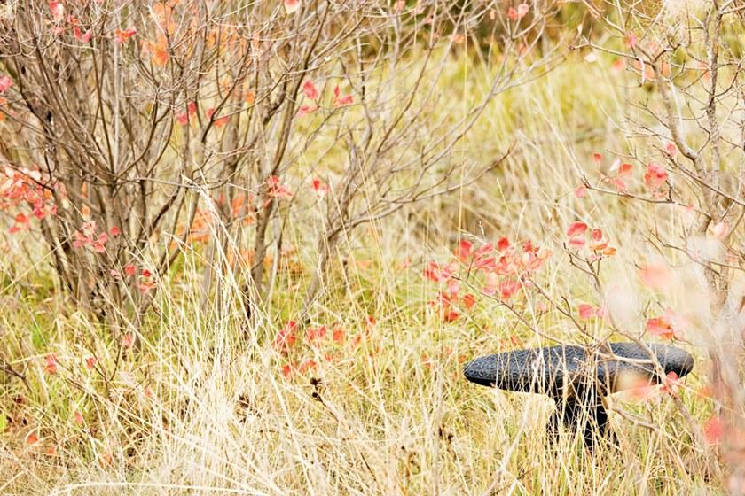 Moroso Табурет из полиэтилена sun-id-1383590 - Вид №3