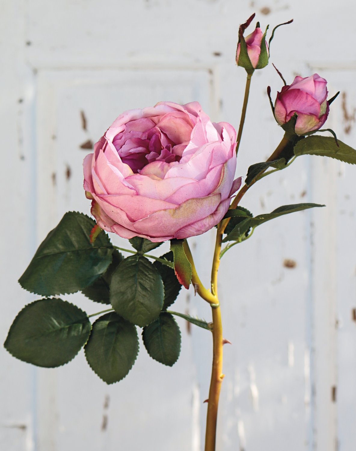 2592 597 a3 Искусственная роза, 1 цветок, 2 бутона, 60 см, real touch soft, антично-роза H-andreas  - Вид №4