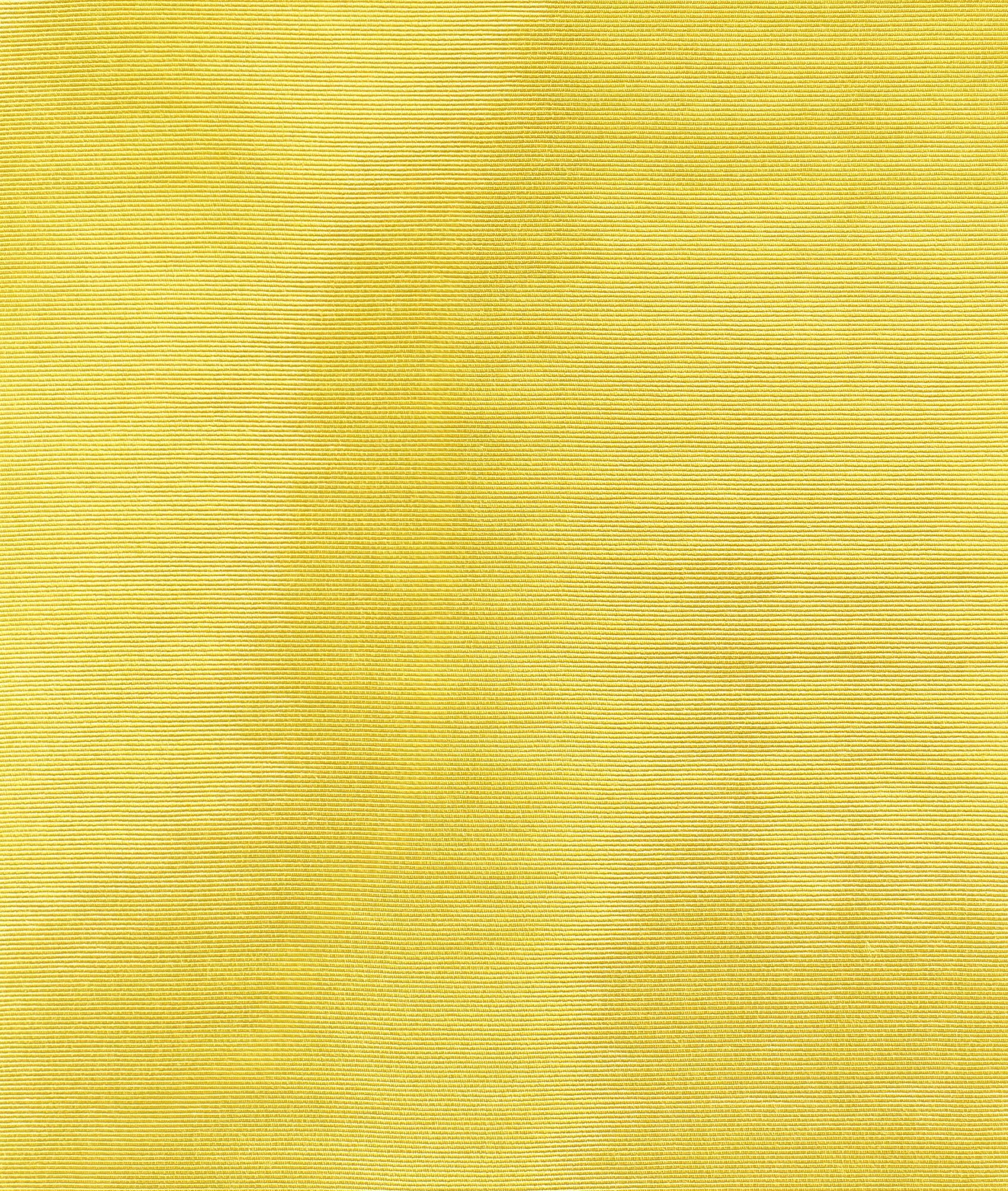 Обои / ткань Dedar Amoir Fou ARCH-00069474 - Вид №20