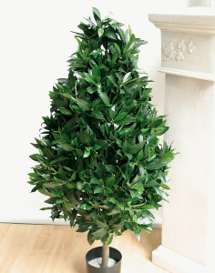 5690 883 a3 Лавровое шелковое дерево в горшке, 125 см, зеленое H-andreas 