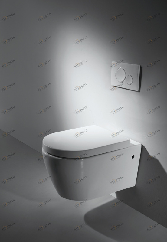 C2190UW-ENG Подвесной унитаз настенный Белый Bravat Gina Китай