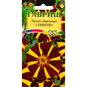 Бархатцы отклоненные Тагетес Стриптиз 0.3 г 83583238 STLM-2003691