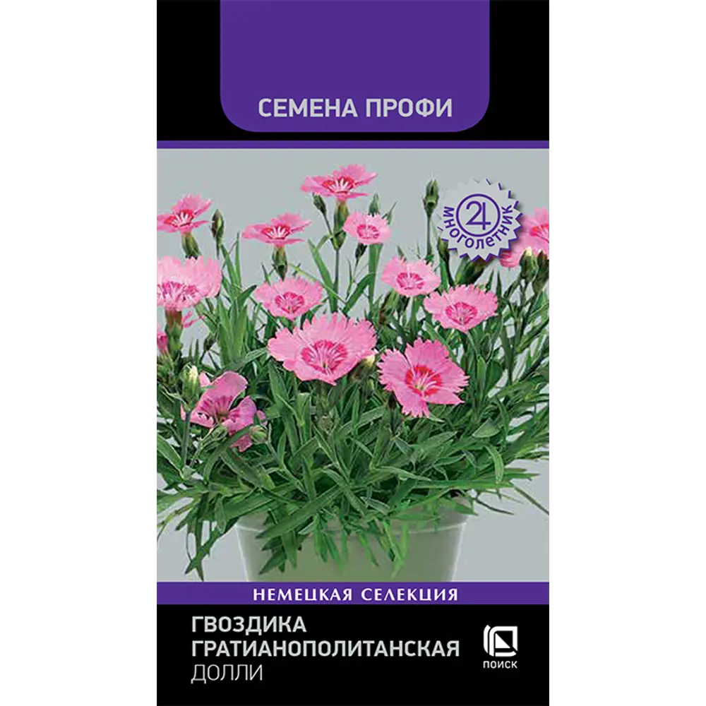 Гвоздика гратианополитанская Долли от ПОИСК - белоснежное украшение сада 89401278 STLM-1566443