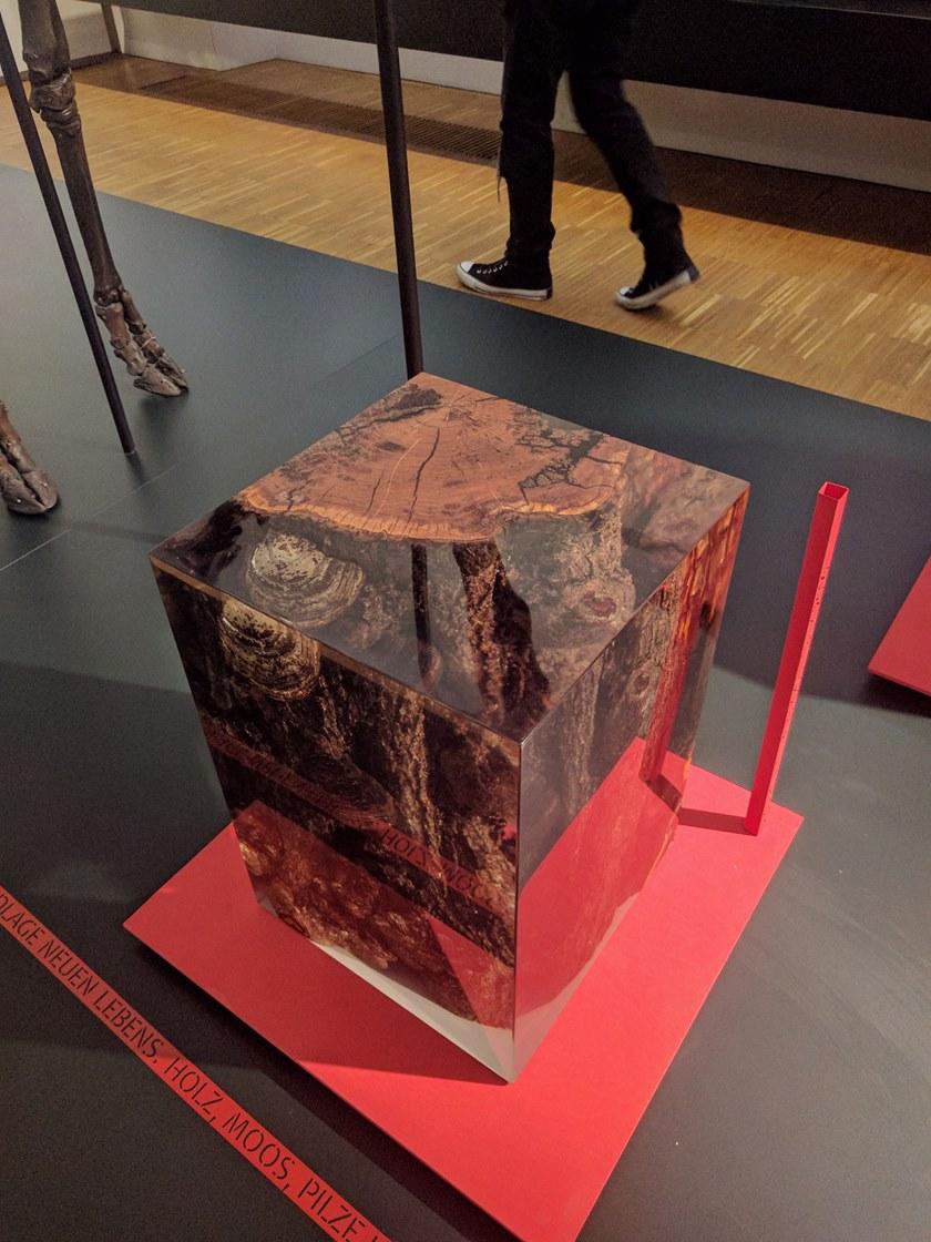 alcarol Табурет / журнальный столик Fungi sun-id-1459440 - Вид №9