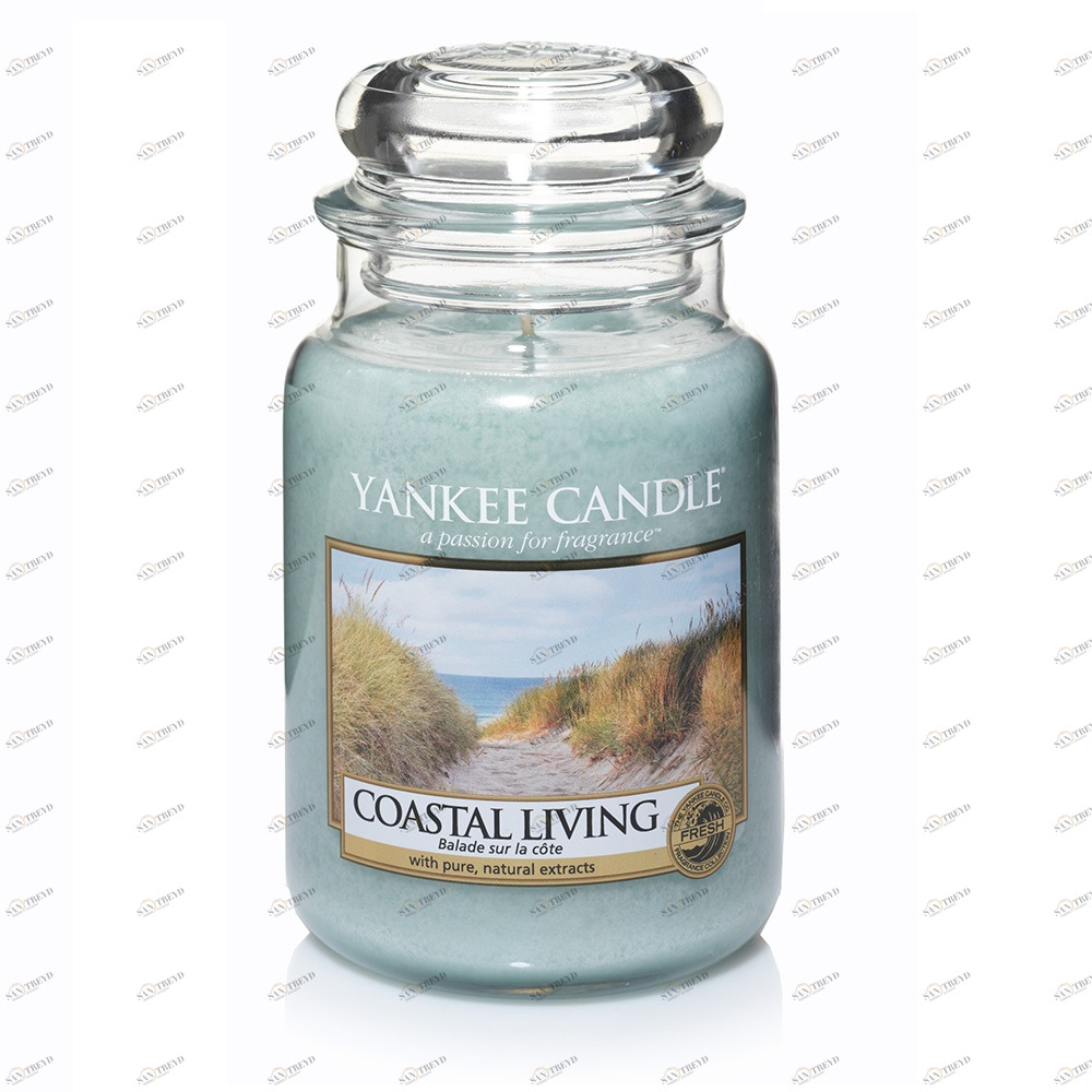 Свеча большая в стеклянной банке "Морской воздух" Sea air 623 гр 110-150 часов YANKEE CANDLE  267843 Голубой 