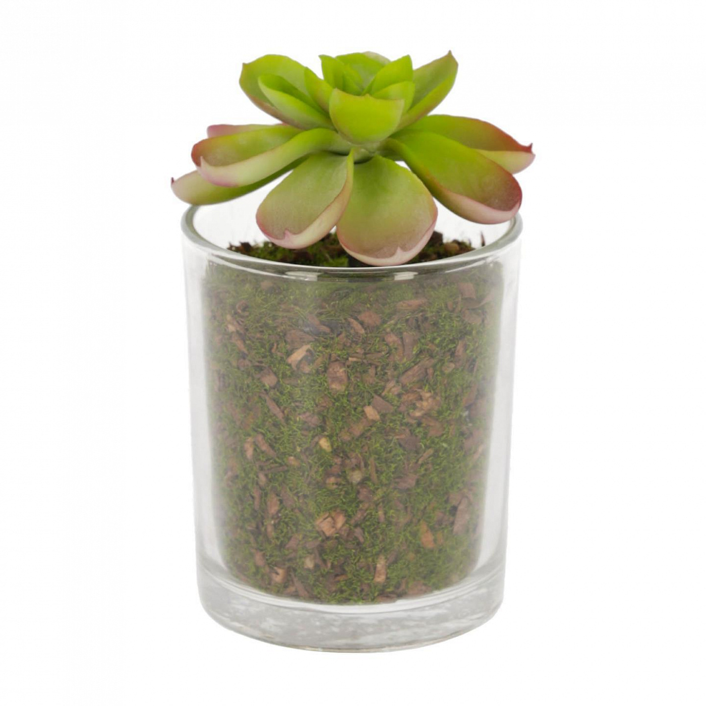 081738 Flower Искусственное растение в стеклянном горшке 11см La Forma Aeonio  - Вид №1