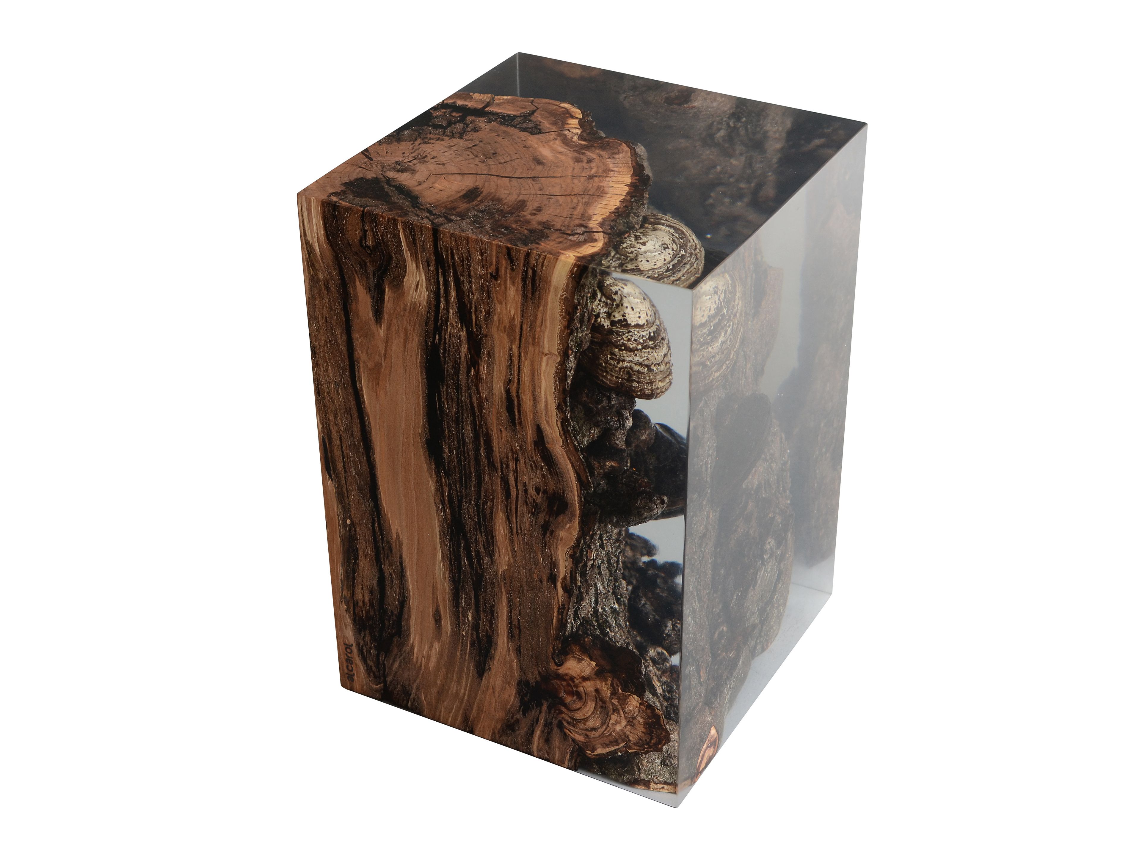 Табурет / журнальный столик alcarol Fungi ARCH-00131901 - Вид №11