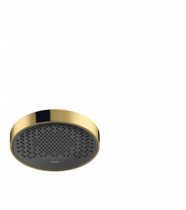 26229990 Rainfinity Верхний душ 250 1jet EcoSmart Hansgrohe