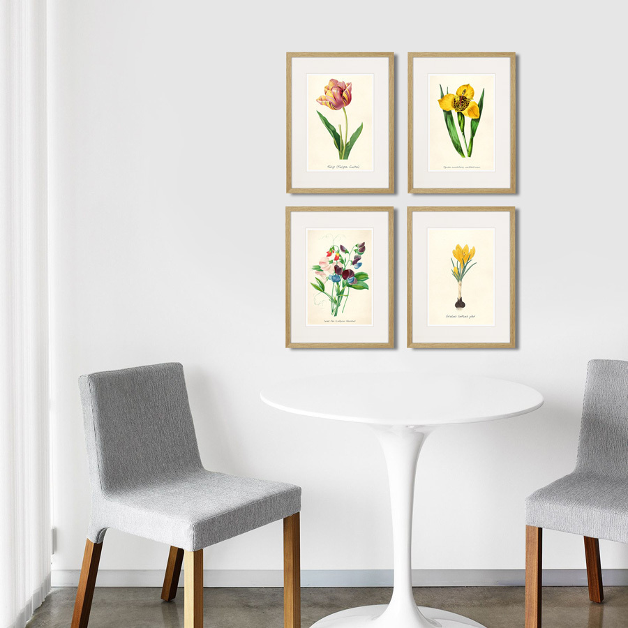 Картина в раме 32х42 см Botany illustration №14, 1836г. КАРТИНЫ В КВАРТИРУ  264494 Желтый;зеленый;разноцветный  - Вид №2