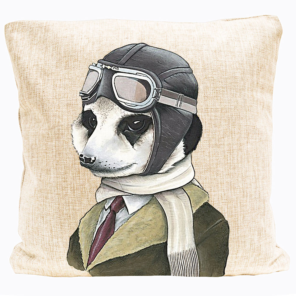 2719087 Декоративная подушка «Мистер Авиатор» Object Desire 