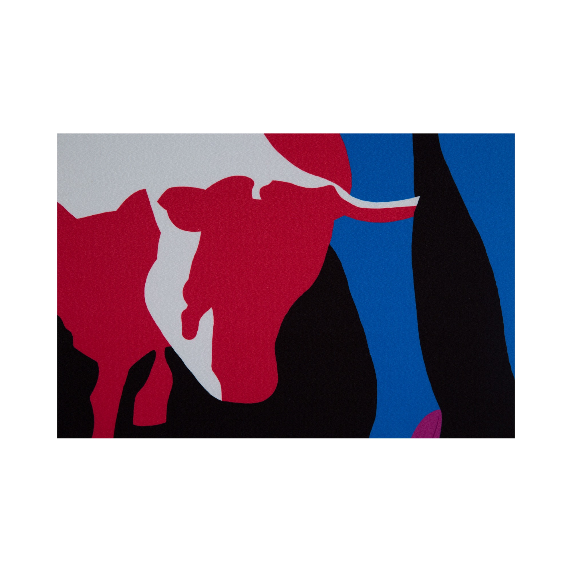 Постер / Collants Formitalia sun-id-377158 - Вид №3