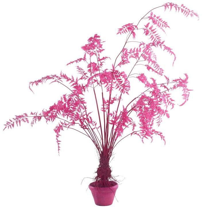 Pols Potten Искусственное растение из пластика  540-300-015  - Вид №1