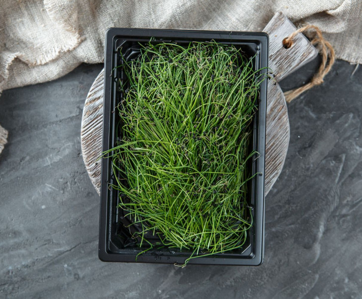 4758 Микрозелень лук "Порей" Вкусляндия  - Вид №2