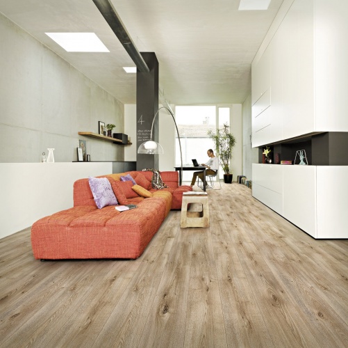 Ламинат Maestro Club Дуб Вива SU 03 4000100083 - Вид №1