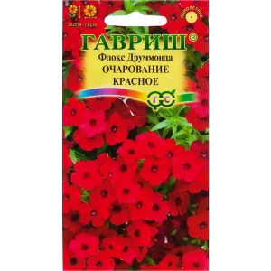 Флокс «Очарование красное Друммонд», 0.05 г 82097879 STLM-2193545