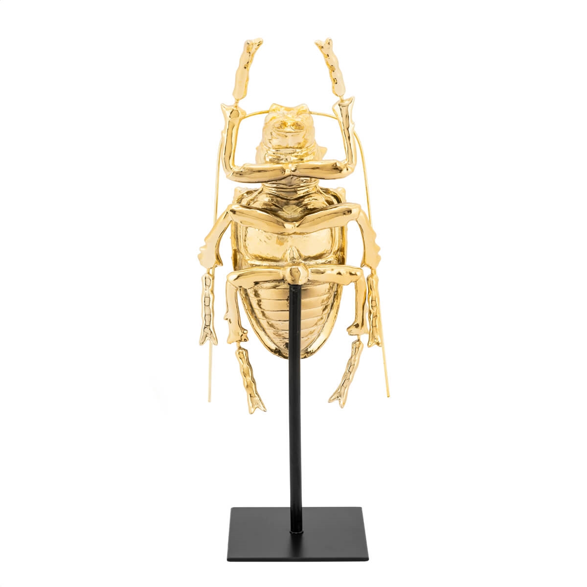 600874-01 ABHIKA СТЕНД ДЛЯ НАСЕКОМЫХ GOLD  - Вид №1