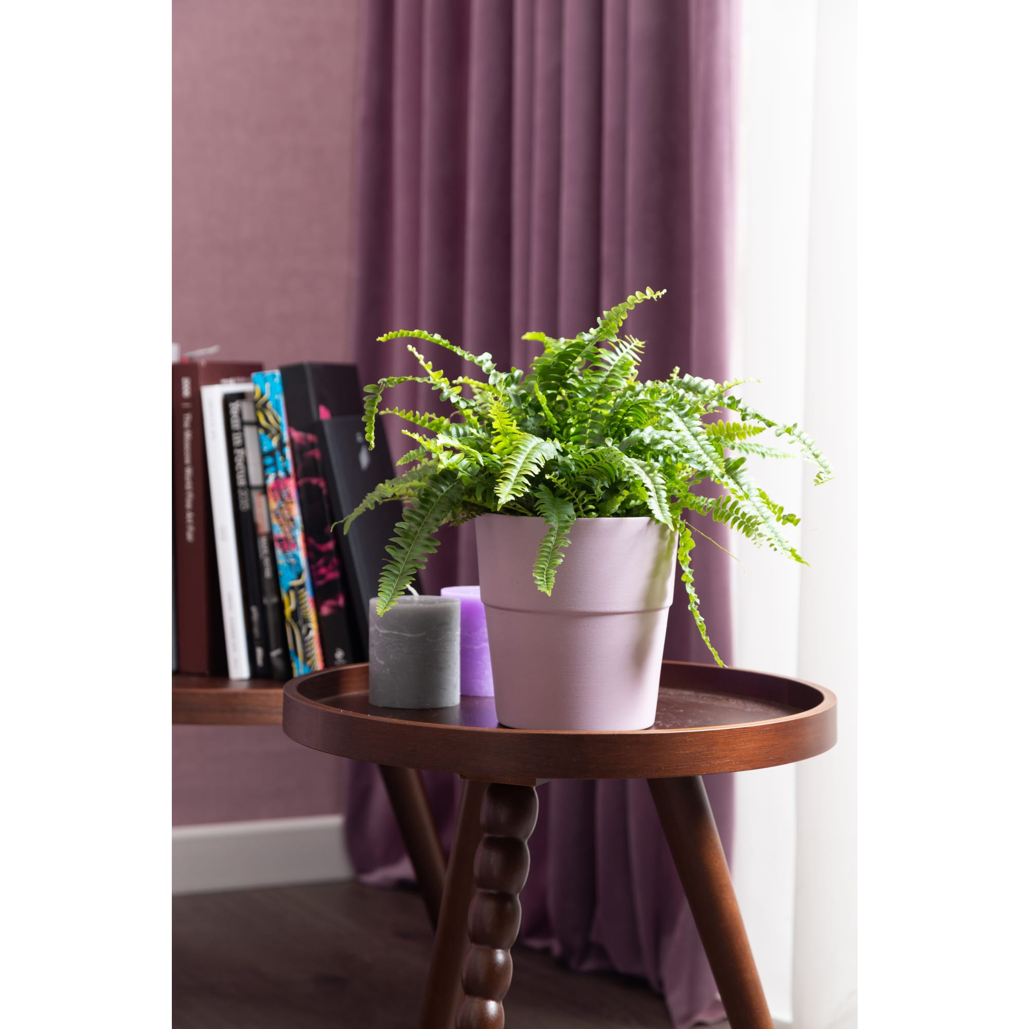 13534108 Нефролепис Грин Леди 12х37 см Santreyd  - Вид №6