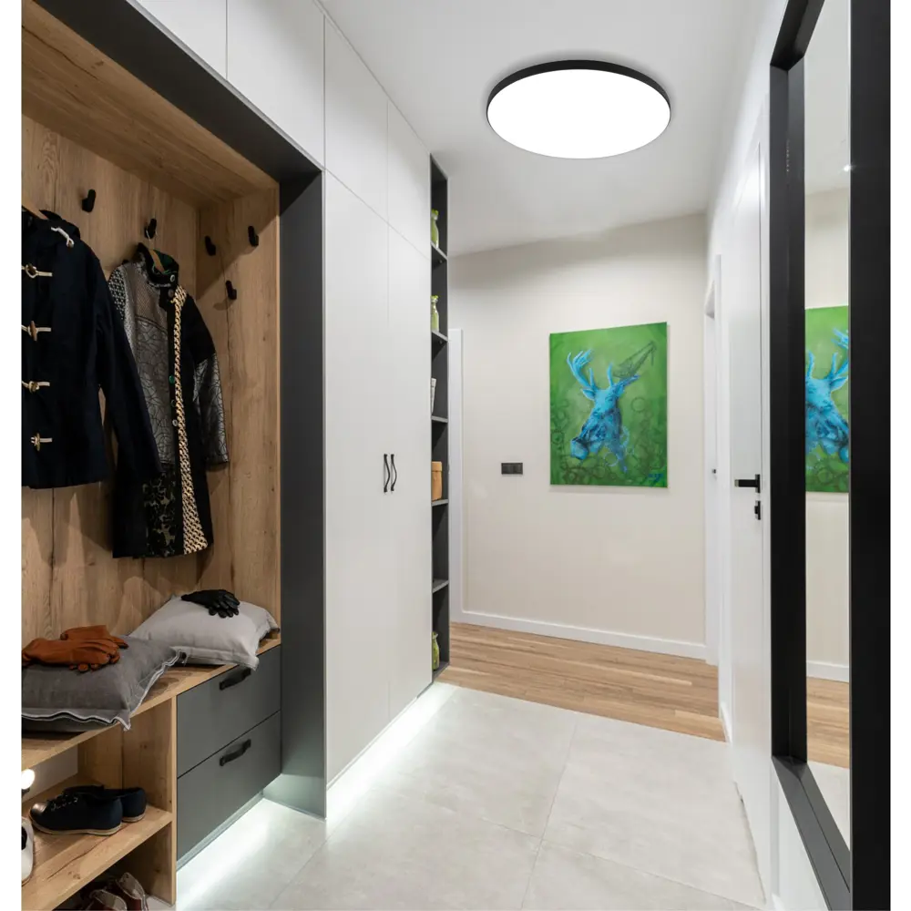 Santreyd BL — светодиодный потолочный светильник с защитой IP65 89383245 STLM-1379075 - Вид №7