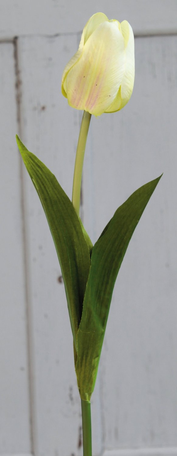 3115 788 a2 Искусственный тюльпан, 57 см, real touch, бежево-зеленый H-andreas  - Вид №1